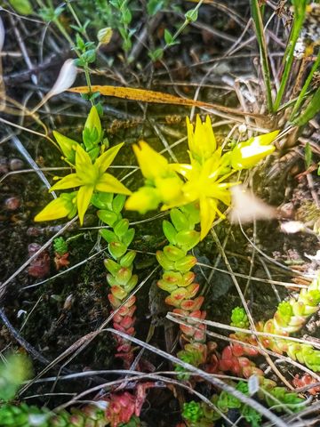 Plant Beautiful Photography On Eyeem