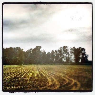 landscape by Twist the Leaf