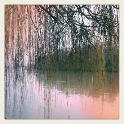 Peace and quiet by LECUYER Marie