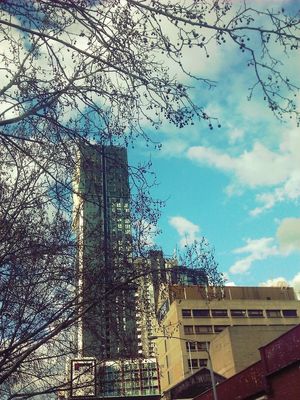 Skyscrapers at Queen Victoria Market by Julian Liu