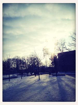 winter morning by Nils