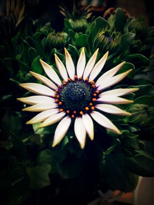 Watching plants grow at Holiday Inn City Center Nürnberg by Mike