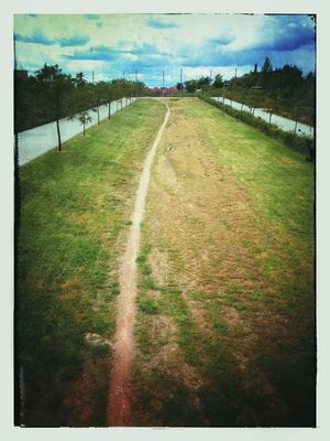 Camino by Imarchi