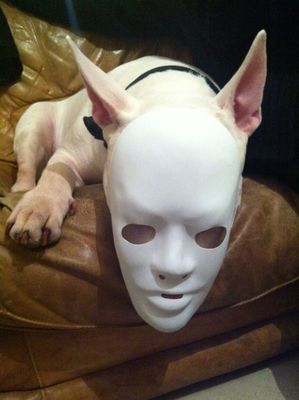 dog by SHAROCYPRESS