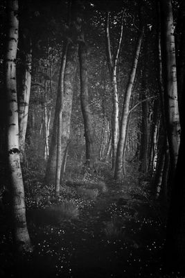 EyeEm Nature Lover by Liselotte 