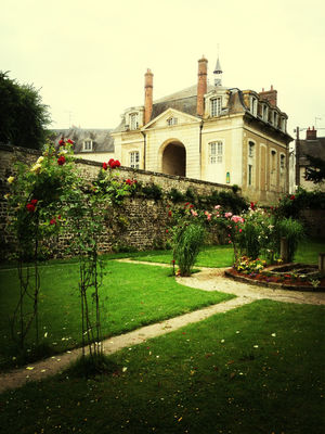 Hanging out at Châteauneuf-sur-Loire by Julien