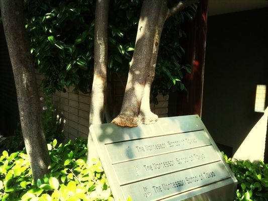 Urban nature at The Montessori School Of Tokyo by Kant