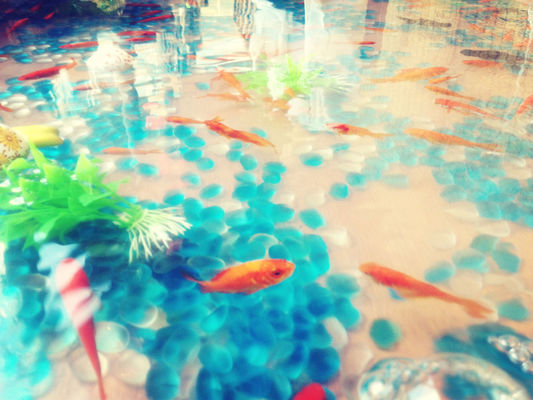 Hanging out at おかげ横丁 by Misato Sasaki