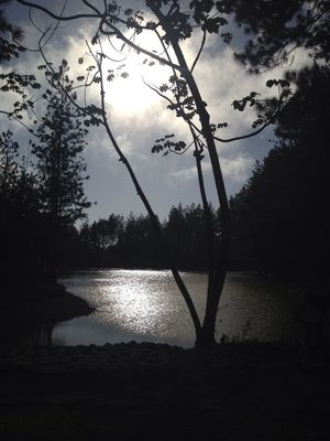 Nature by Milagro