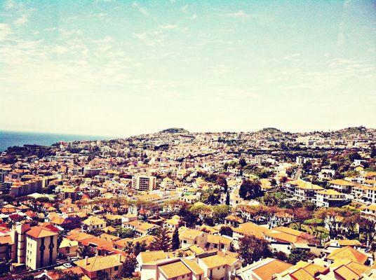 Taking Photos in Funchal by dorothea 