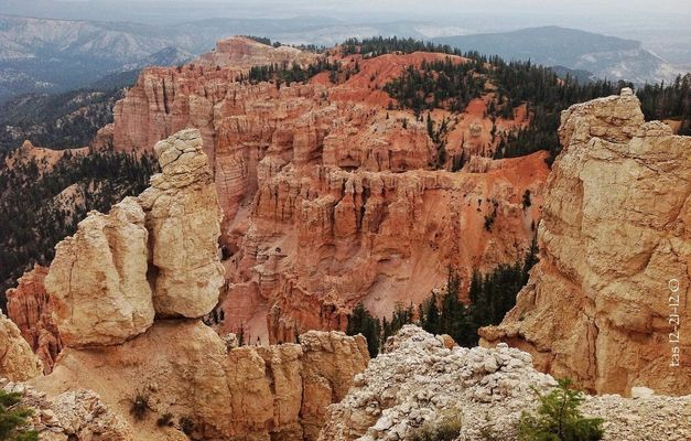 Bryce canyon by Tom S