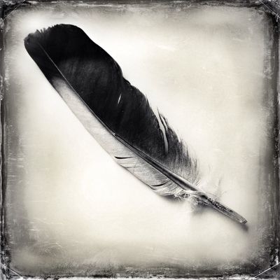 WeAreJuxt.com by Jorge Femat S