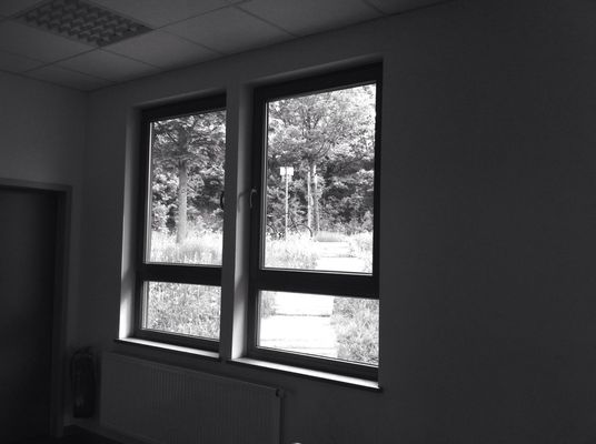 blackandwhite by Buntebilder