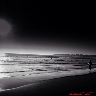 blackandwhite by Pitch_Black