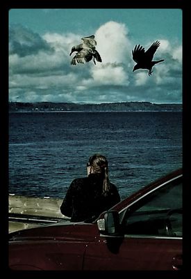 water_collection at Fauntleroy Ferry Terminal by Josh