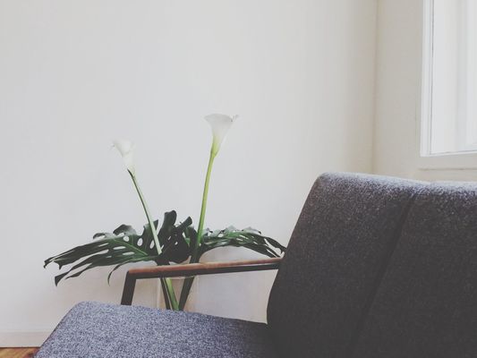 interior design at Studio 138 by Ailine Liefeld