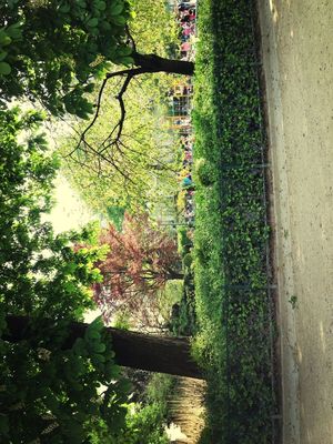 Planting at Square du Temple by Nina Td