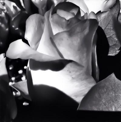 black and white at Zekeriyaköy by Fdayi