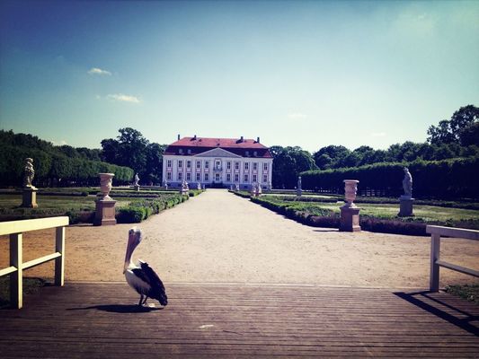 bird watching at Tierpark Berlin by Jenny Jung