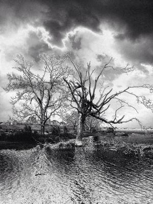 blackandwhite by Lisa Jemison