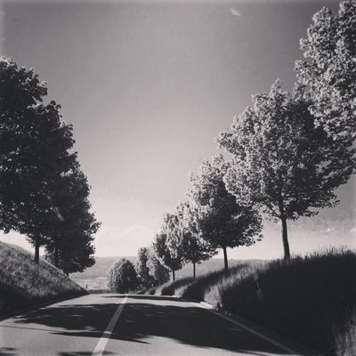 blackandwhite by Nora