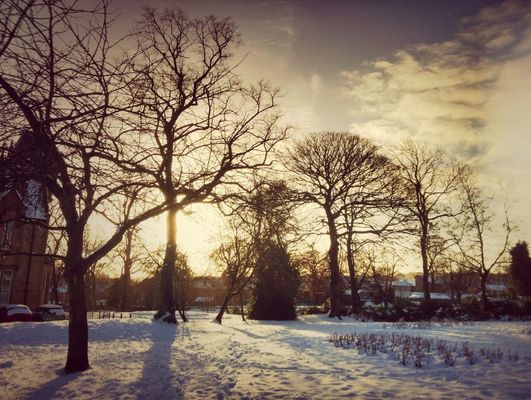 Nature in Leeds by Tom Sheard