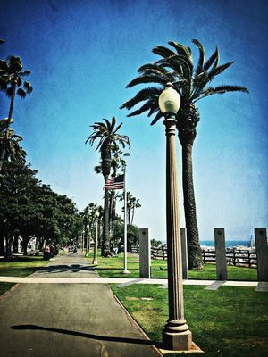 Enjoying the sights at Santa Monica Pier by Shadya Jarecke