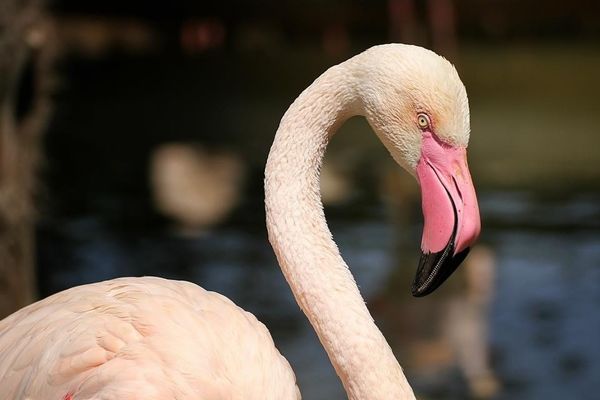 EyeEm Nature Lover at Centro Multi Raccolta 01 by Nimits
