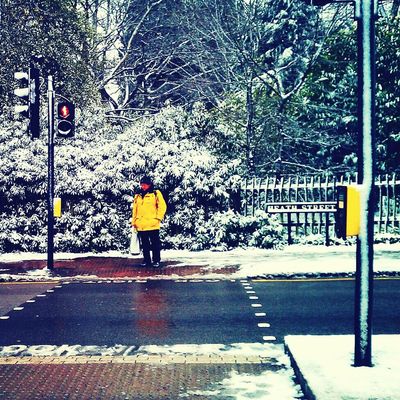 Walking around at Hampstead Heath by Ruth Vakrat Fogel