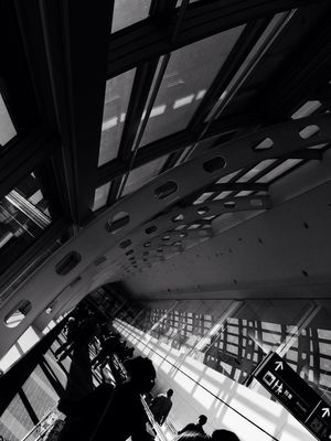 blackandwhite by maru