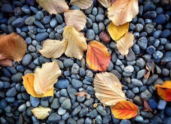 Fresh and clean by Susan Myers