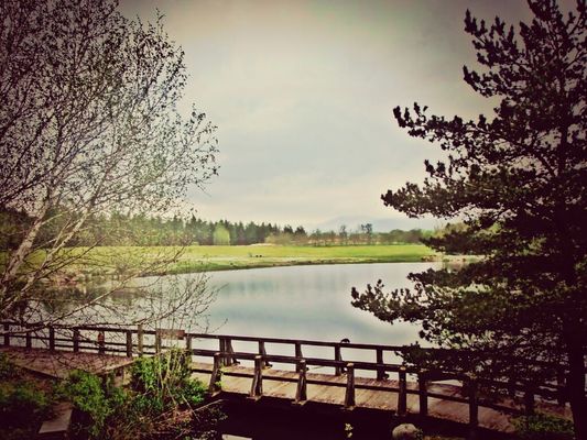 Landscape_Collection by sharon