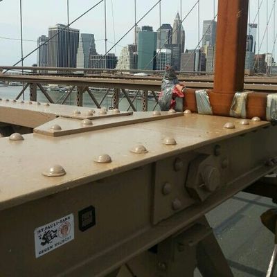 Fussball ist unser Leben at Brooklyn Bridge by dbgj