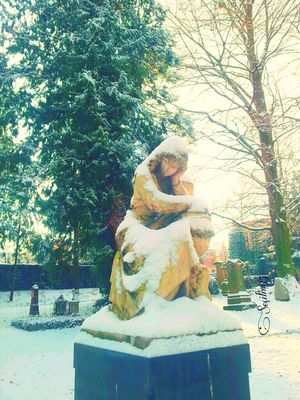 EyeEm Nature Lover by Secilim35