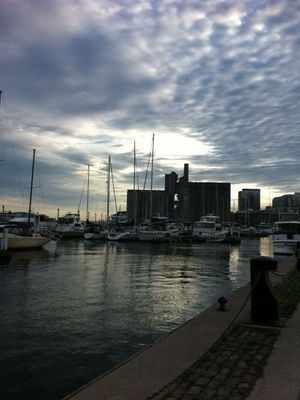 gratitude in Toronto by André