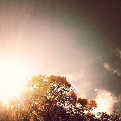 sky in Dorado by Xiomara Aviles