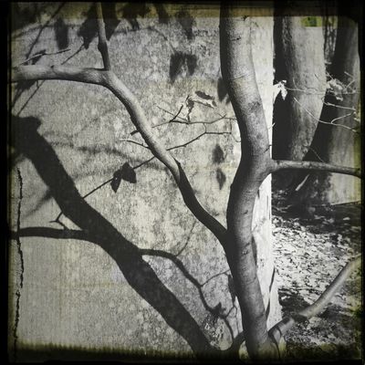 Nature by k. rockz.
