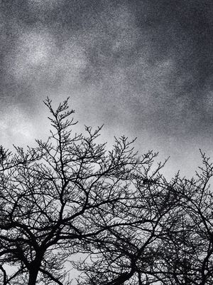 blackandwhite at 埼玉県 by ジジ☆