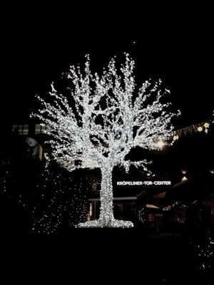 Christmas trees by Chaney