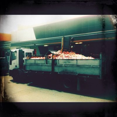 Butcher at Williamstown by ♠ Jane JC_Sway ♠