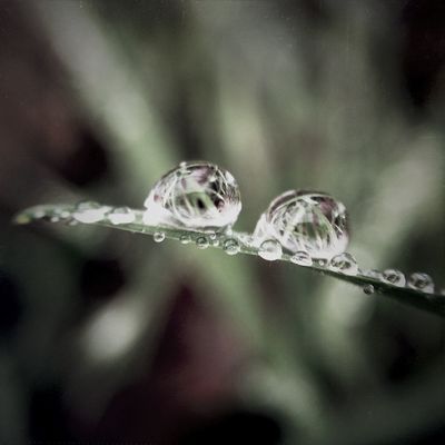 macro by Marielle