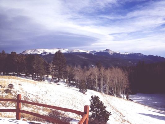 mountains at Mueller State Park by Guillermo Mejia