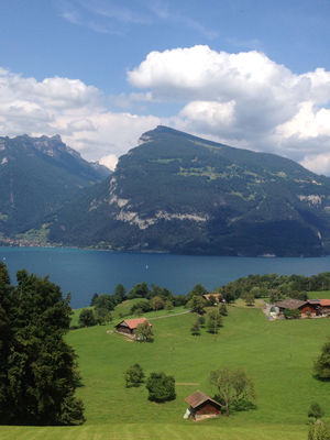 Nature at Bucht Spiez by Solheure 66