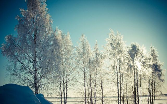 Winter in Luleå by Tomas Nilsén