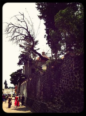 2nd Mexico City EyeEm Meetup at Coyoacan Downtown by hehrahrdoh