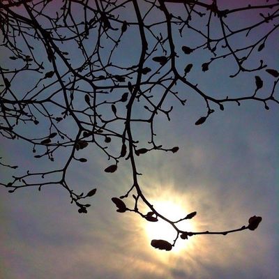EyeEm Nature Lover by iga🐺