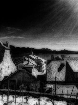 EyeEmSwiss at Lavaux by Valérie Parisod