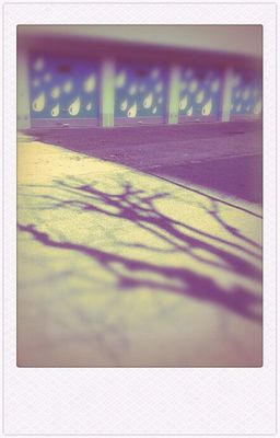 sweet days by panoptika