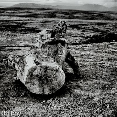 blackandwhite at Great Salt Lake by Rick Kilboy