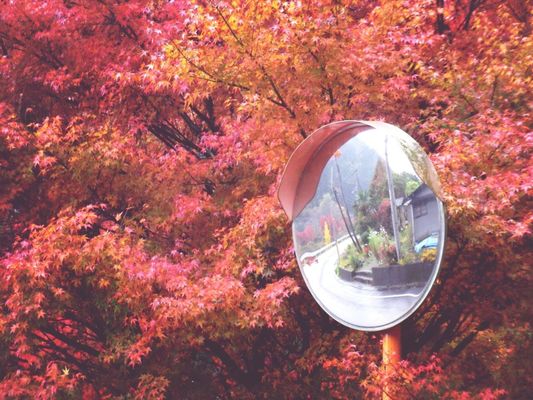 EyeEm gallery by MiHo